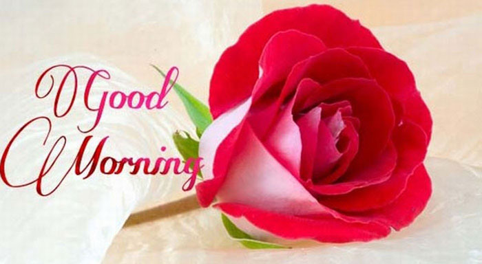 Good Morning Messages, Wishes, Quotes, Sms In Hindi English